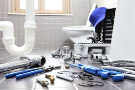 Best Garbage Disposal Repair and Installation  in Batesburg Leesville, SC